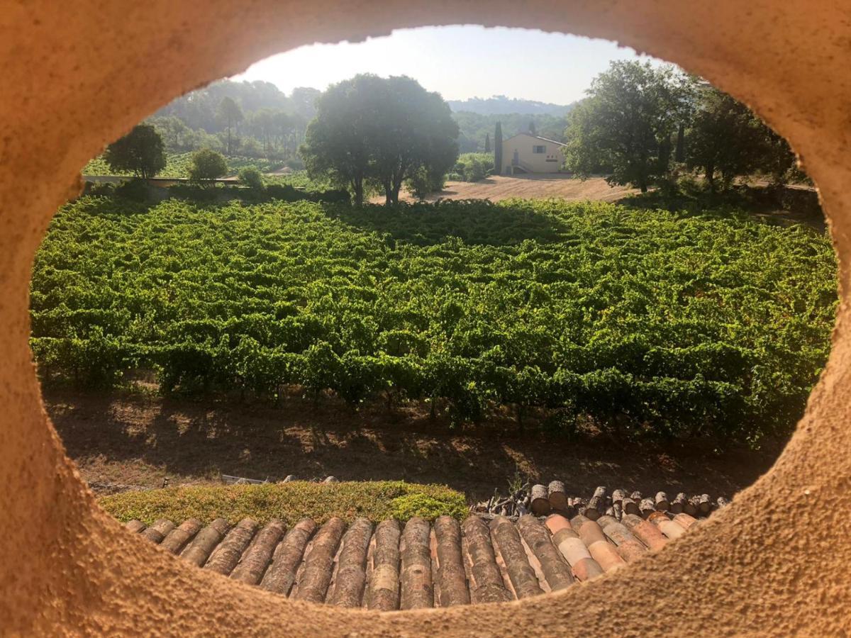Domaine Du Clos D'Alari-Chambres D'Hotes Au Milieu Des Vignes Saint-Antonin-du-Var Zewnętrze zdjęcie