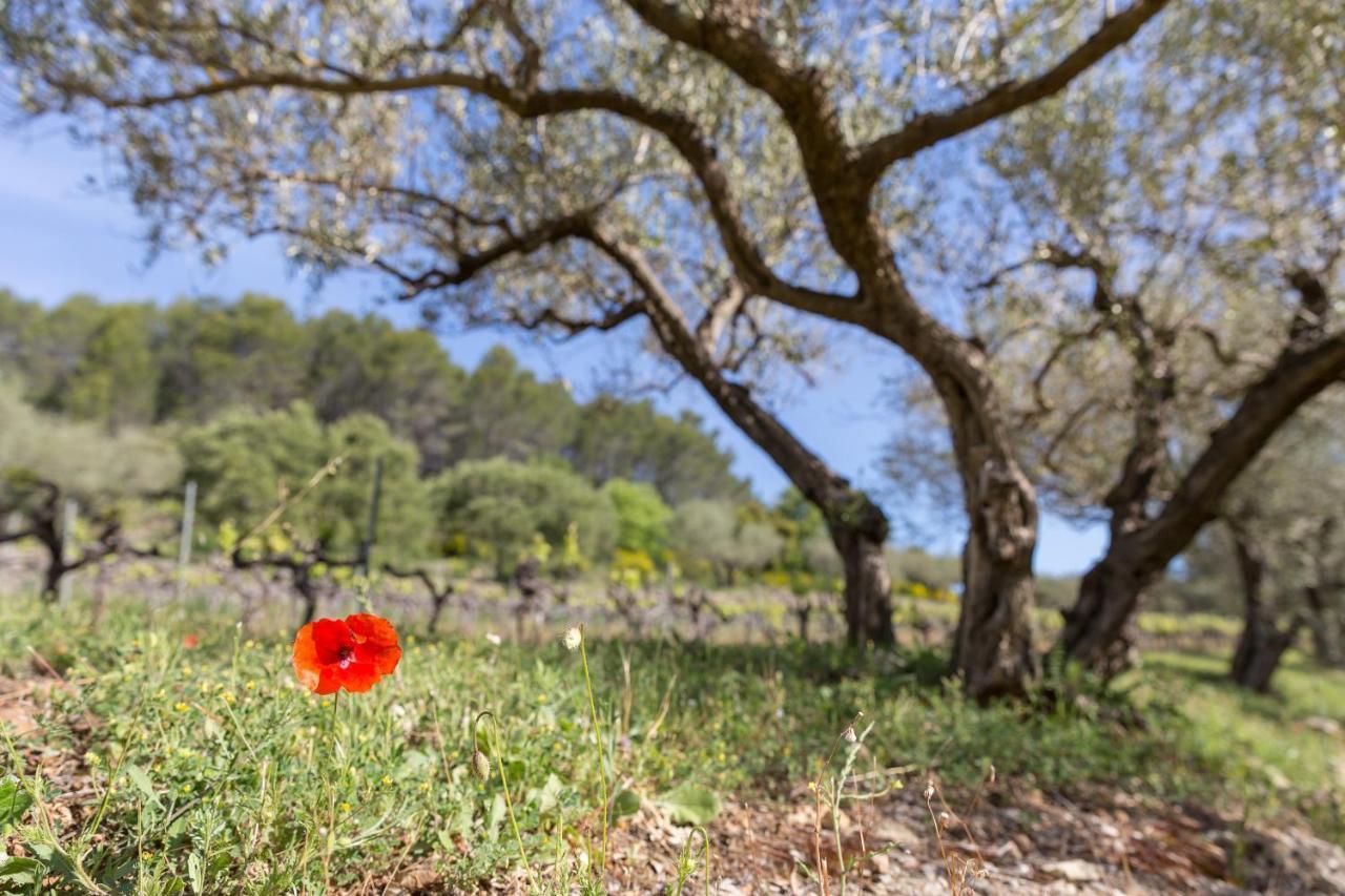 Domaine Du Clos D'Alari-Chambres D'Hotes Au Milieu Des Vignes Saint-Antonin-du-Var Zewnętrze zdjęcie