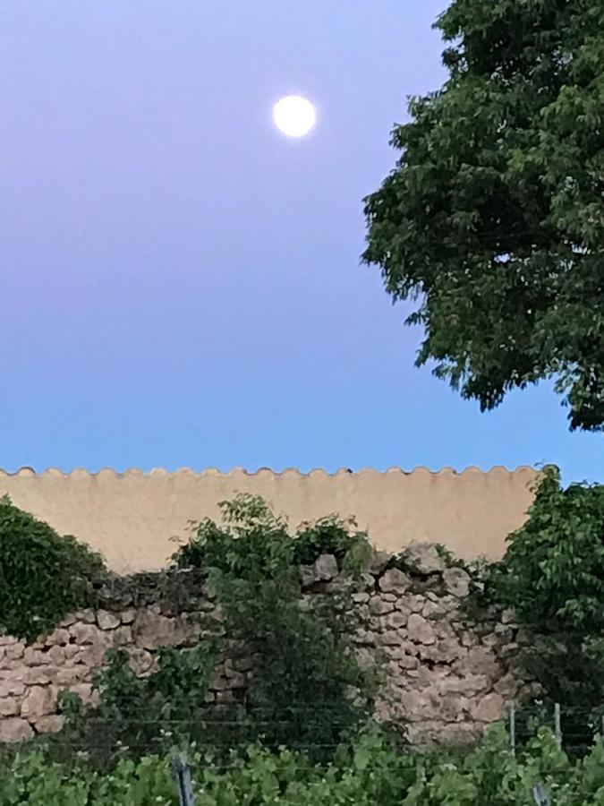Domaine Du Clos D'Alari-Chambres D'Hotes Au Milieu Des Vignes Saint-Antonin-du-Var Zewnętrze zdjęcie