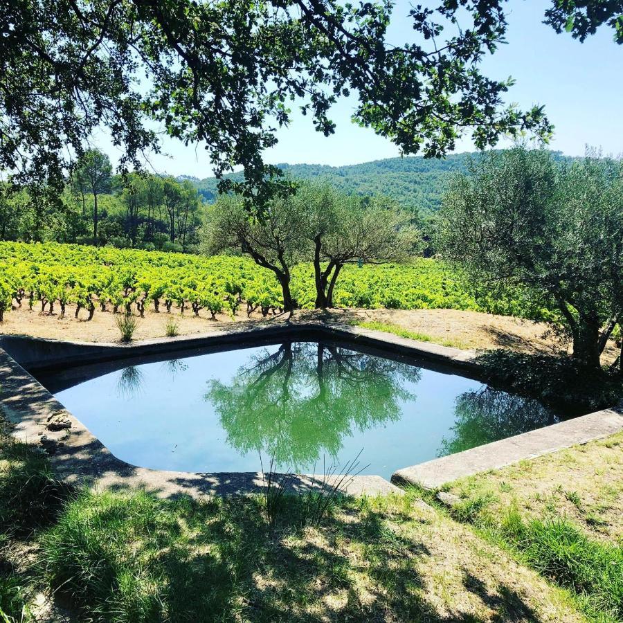 Domaine Du Clos D'Alari-Chambres D'Hotes Au Milieu Des Vignes Saint-Antonin-du-Var Zewnętrze zdjęcie