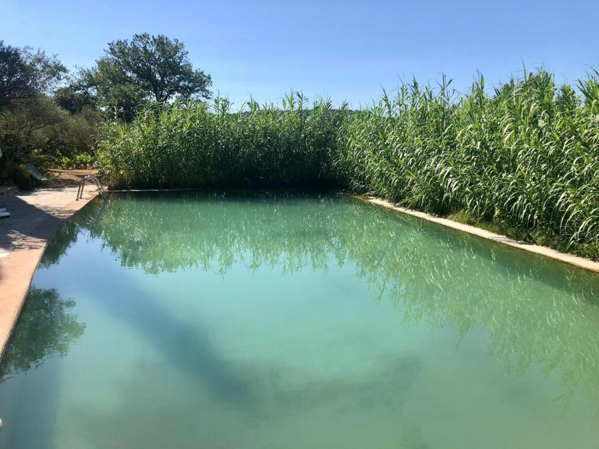 Domaine Du Clos D'Alari-Chambres D'Hotes Au Milieu Des Vignes Saint-Antonin-du-Var Zewnętrze zdjęcie