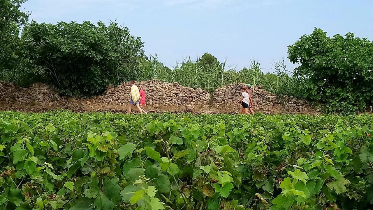 Domaine Du Clos D'Alari-Chambres D'Hotes Au Milieu Des Vignes Saint-Antonin-du-Var Zewnętrze zdjęcie