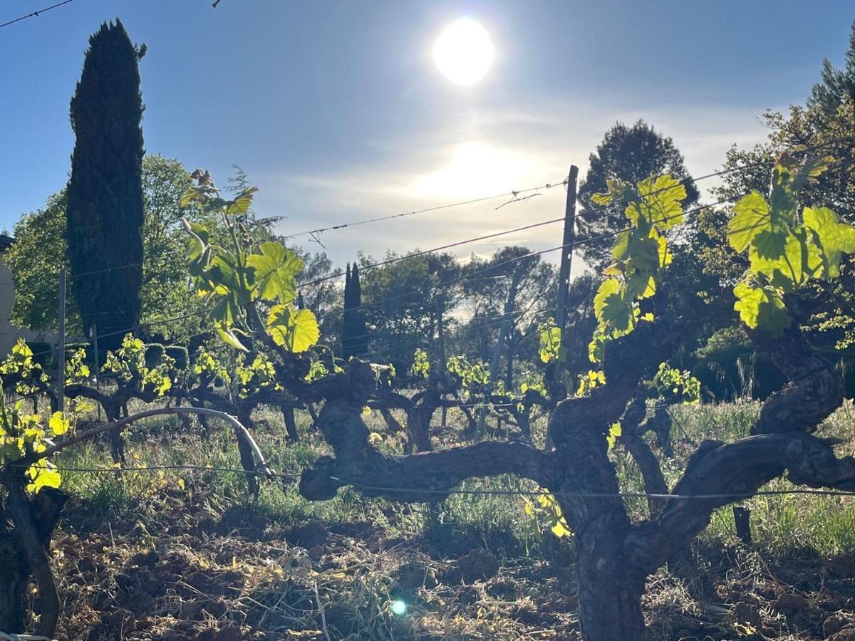 Domaine Du Clos D'Alari-Chambres D'Hotes Au Milieu Des Vignes Saint-Antonin-du-Var Zewnętrze zdjęcie